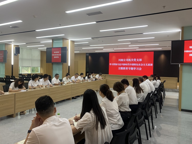 20230726_川南公司机关党支部召开主题教育专题学习聚会会议.jpg